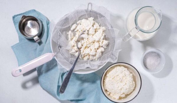como hacer queso en casa-web