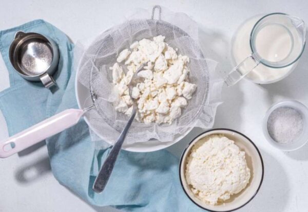 como hacer queso en casa-web como hacer queso en casa-web